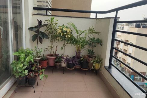 WhatsApp Image 2025-04-17 at 5.45.25 PM