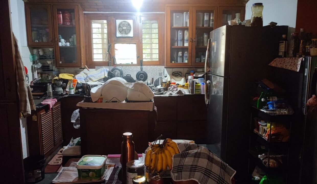 WhatsApp Image 2025-04-19 at 1.30.56 PM