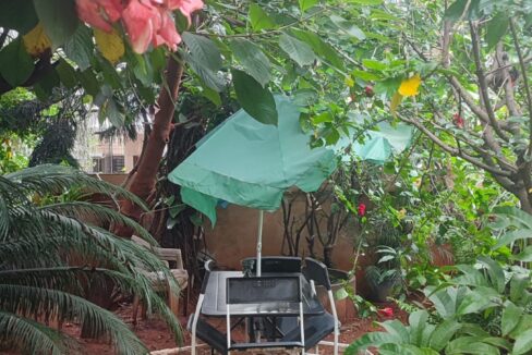 WhatsApp Image 2025-04-19 at 1.30.57 PM (1)