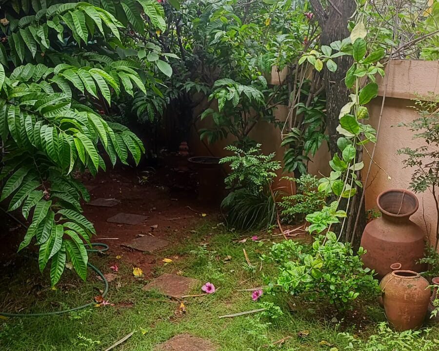 WhatsApp Image 2025-04-19 at 1.30.57 PM