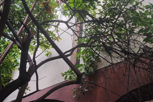 WhatsApp Image 2025-04-19 at 1.30.58 PM (1)