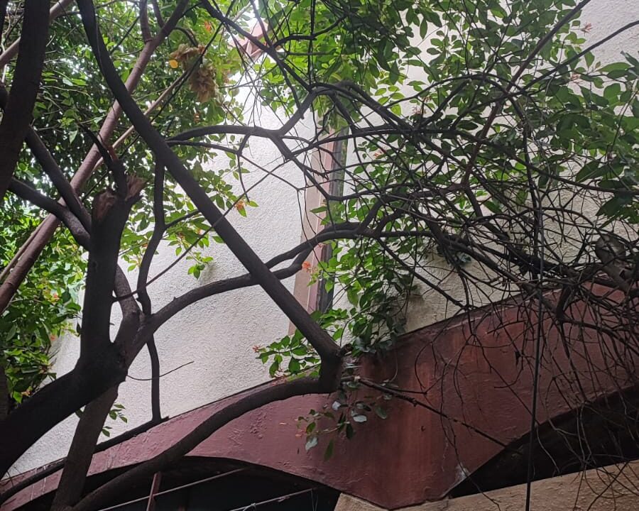 WhatsApp Image 2025-04-19 at 1.30.58 PM (1)