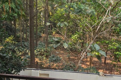 WhatsApp Image 2025-04-23 at 6.13.05 PM