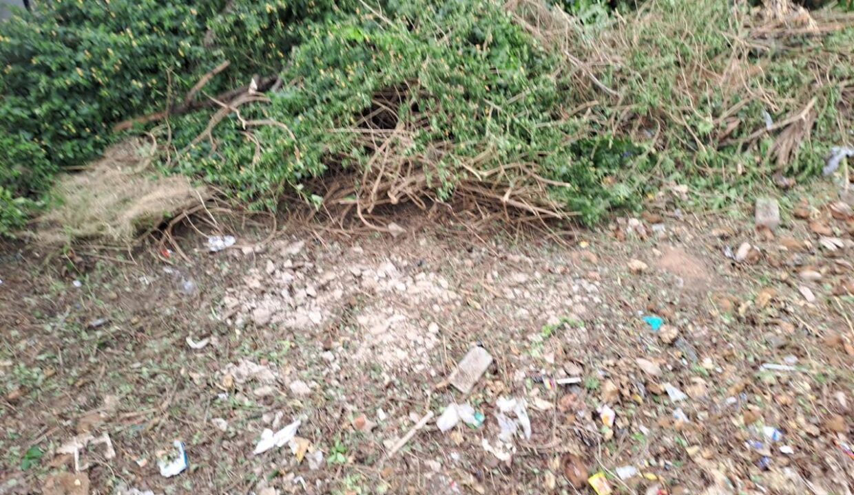 WhatsApp Image 2025-04-25 at 9.18.08 PM (1)