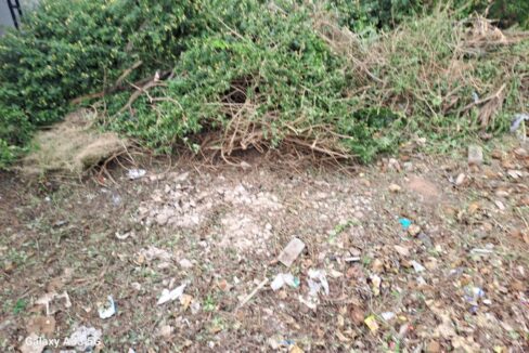 WhatsApp Image 2025-04-25 at 9.18.08 PM (1)