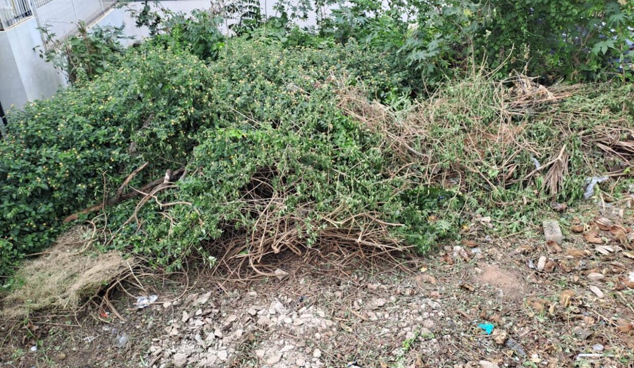 WhatsApp Image 2025-04-25 at 9.18.08 PM