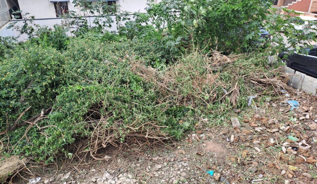 WhatsApp Image 2025-04-25 at 9.18.08 PM (2)