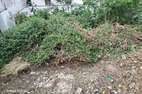 WhatsApp Image 2025-04-25 at 9.18.08 PM