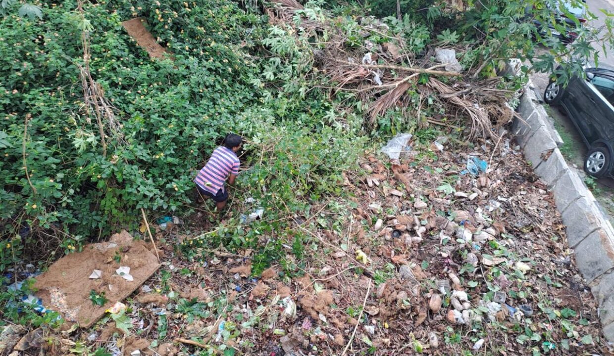 WhatsApp Image 2025-04-25 at 9.18.09 PM (1)