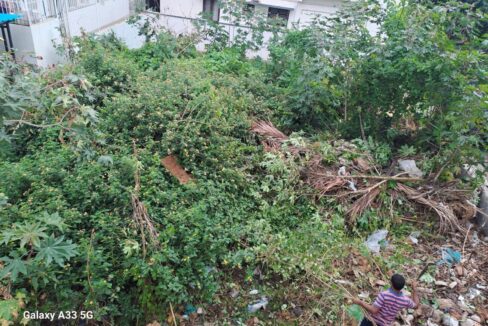 WhatsApp Image 2025-04-25 at 9.18.09 PM (3)