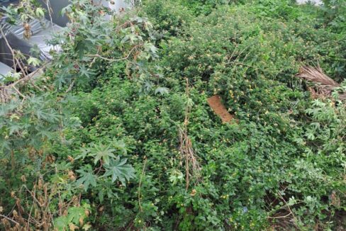 WhatsApp Image 2025-04-25 at 9.18.09 PM