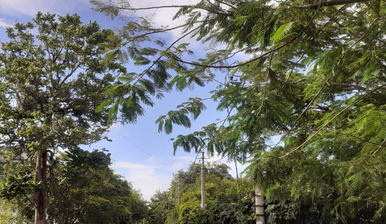 WhatsApp Image 2025-04-26 at 3.03.47 PM (1)