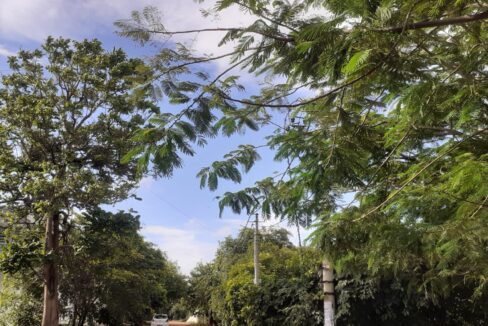 WhatsApp Image 2025-04-26 at 3.03.47 PM (1)