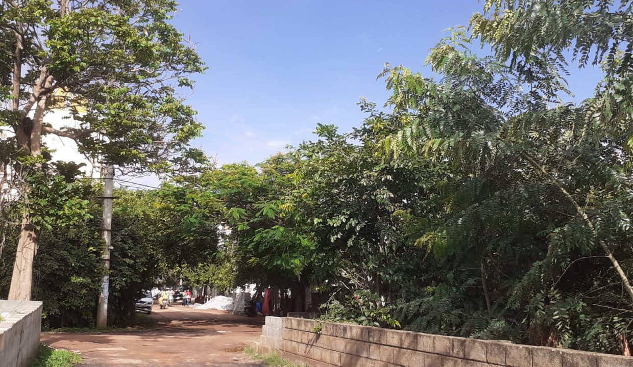 WhatsApp Image 2025-04-26 at 3.03.47 PM (2)