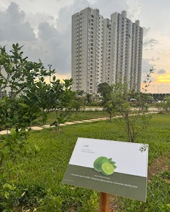 WhatsApp Image 2025-04-28 at 3.19.08 PM