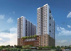 WhatsApp Image 2025-04-28 at 3.19.20 PM