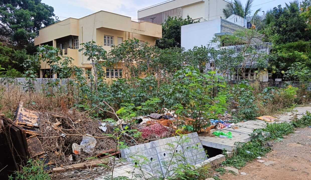 WhatsApp Image 2025-04-28 at 5.19.33 PM