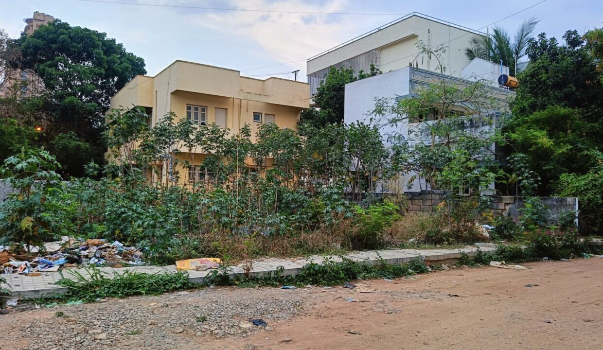 WhatsApp Image 2025-04-28 at 5.19.34 PM (2)