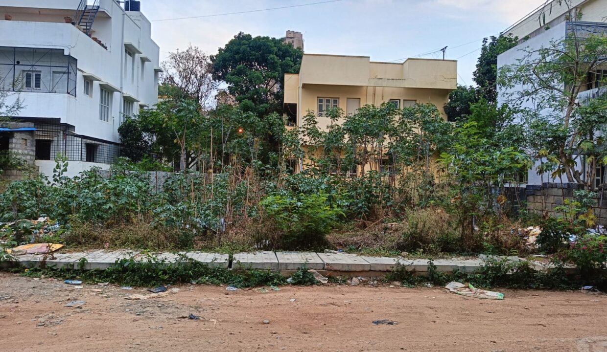 WhatsApp Image 2025-04-28 at 5.19.36 PM