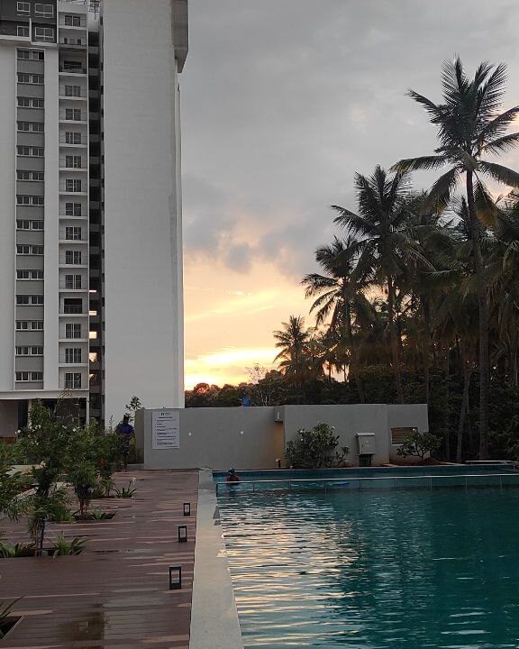 -6287552214486594356_121