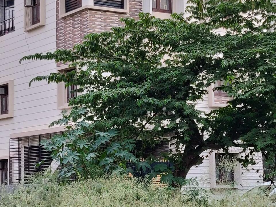 WhatsApp Image 2025-04-29 at 9.04.01 PM (1)