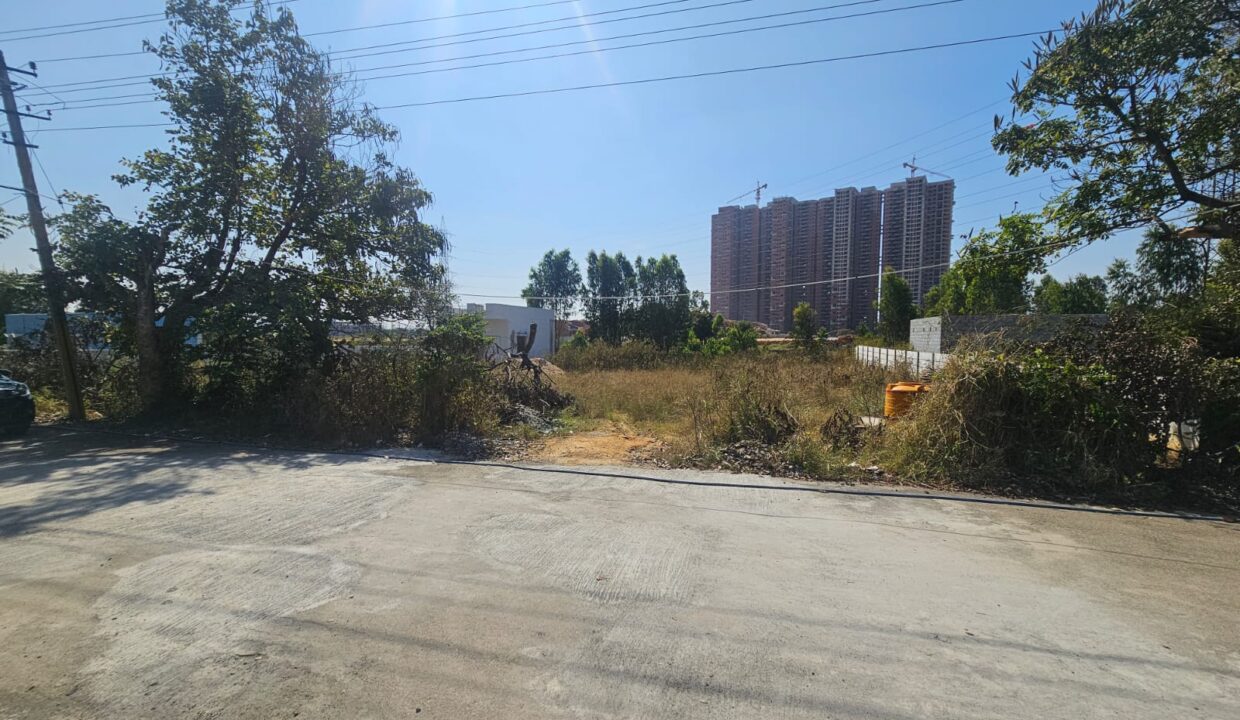 WhatsApp Image 2025-04-30 at 11.54.30 AM (1)