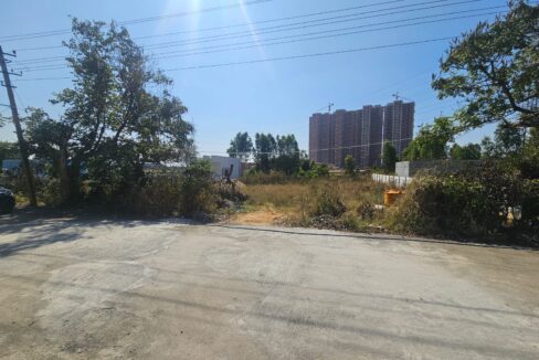 WhatsApp Image 2025-04-30 at 11.54.30 AM (1)