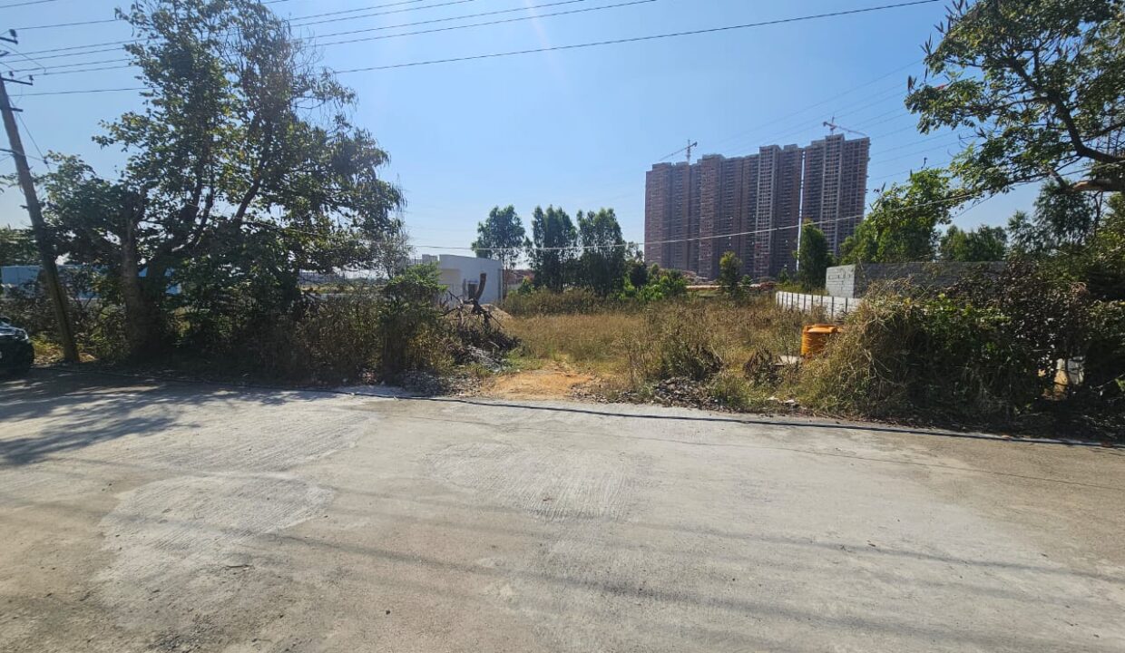 WhatsApp Image 2025-04-30 at 11.54.30 AM