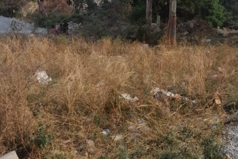 WhatsApp Image 2025-05-01 at 12.21.00 PM