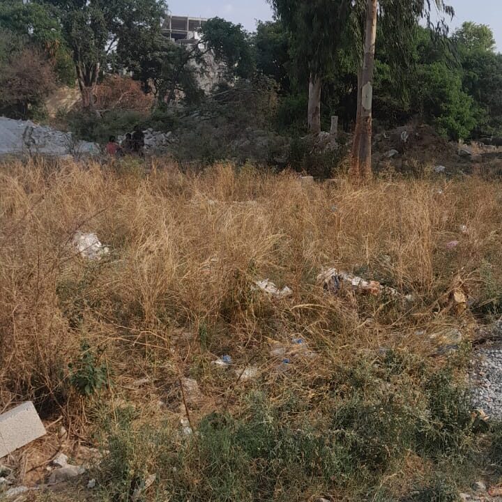 WhatsApp Image 2025-05-01 at 12.21.00 PM