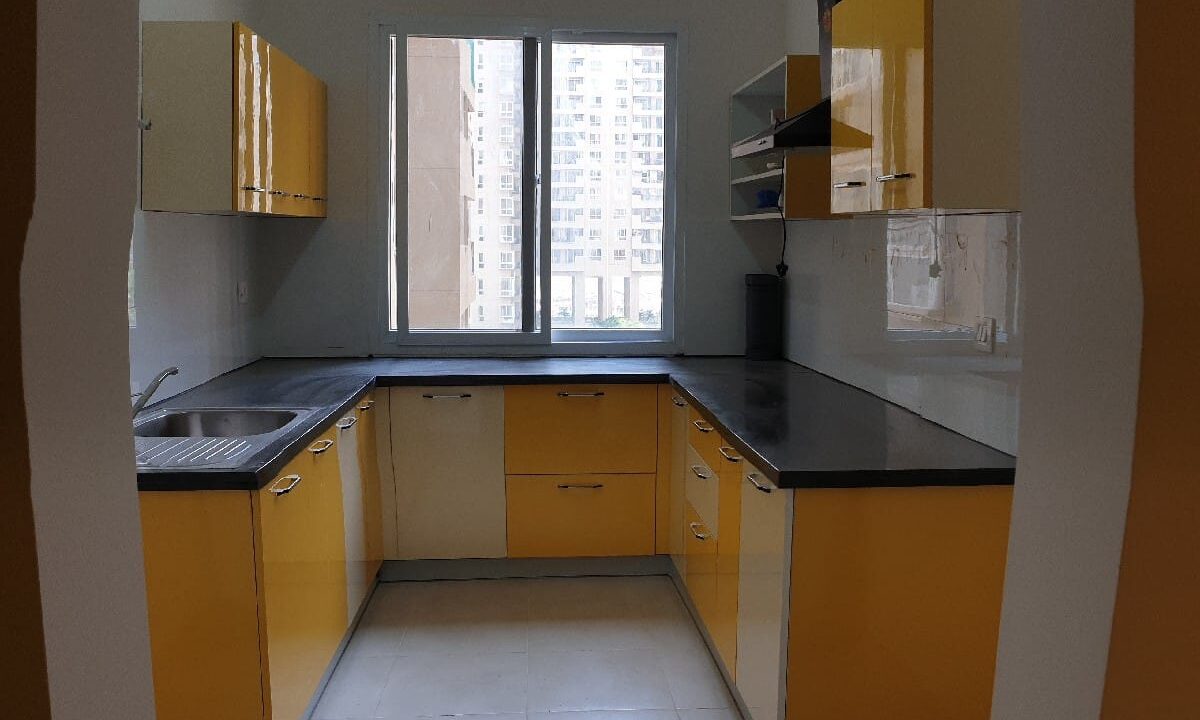 WhatsApp Image 2025-05-03 at 1.43.58 PM