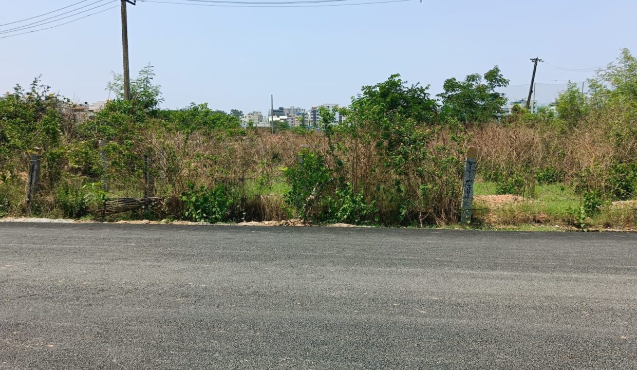 WhatsApp Image 2025-05-04 at 12.16.02 PM