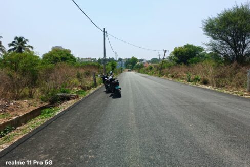 WhatsApp Image 2025-05-04 at 12.16.03 PM (1)