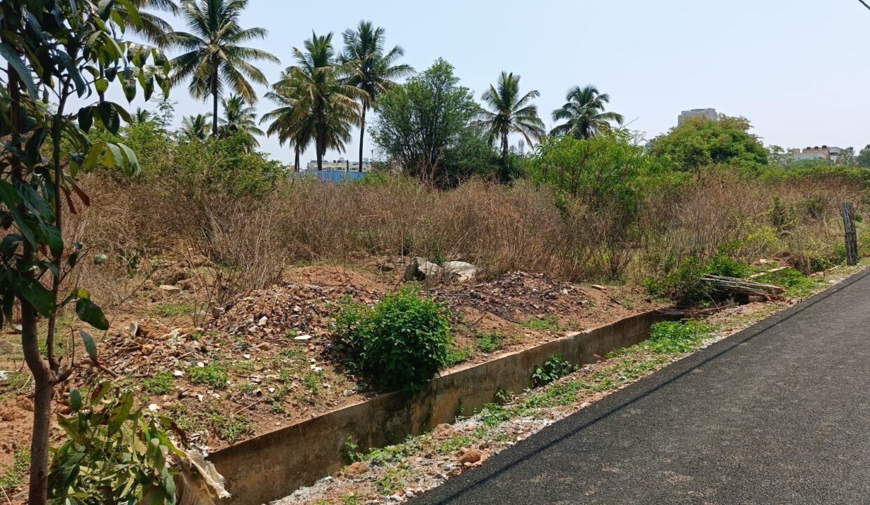 WhatsApp Image 2025-05-04 at 12.16.03 PM