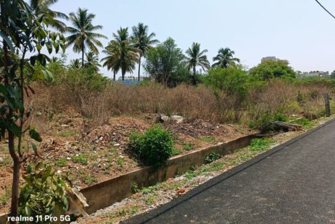 WhatsApp Image 2025-05-04 at 12.16.03 PM