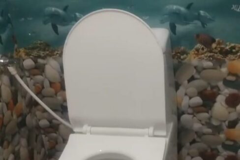 WhatsApp Image 2025-05-06 at 1.50.20 PM