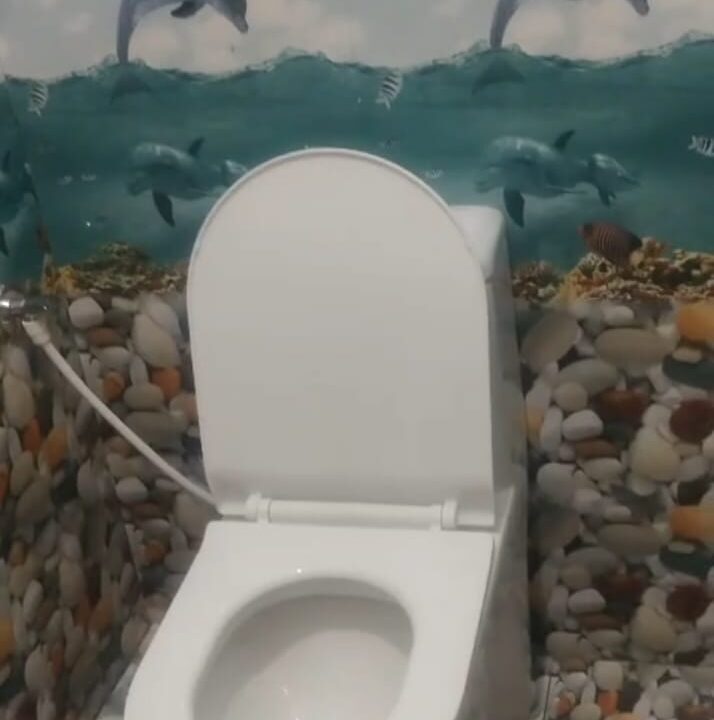 WhatsApp Image 2025-05-06 at 1.50.20 PM