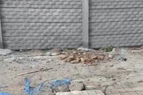 WhatsApp Image 2025-05-06 at 2.54.39 PM (2)