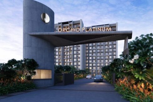 WhatsApp Image 2025-05-08 at 3.44.06 PM