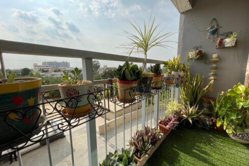 WhatsApp Image 2025-05-08 at 5.53.02 PM (1)