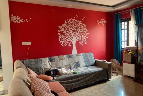 WhatsApp Image 2025-05-09 at 10.30.52 AM (1)