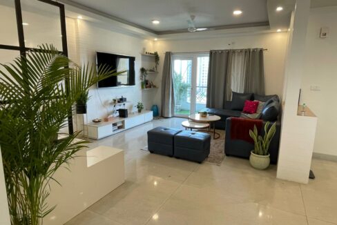 WhatsApp Image 2025-05-13 at 12.47.24 PM (1)