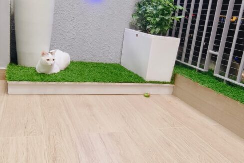 WhatsApp Image 2025-05-14 at 4.02.54 PM