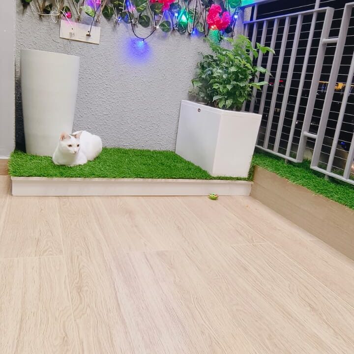 WhatsApp Image 2025-05-14 at 4.02.54 PM