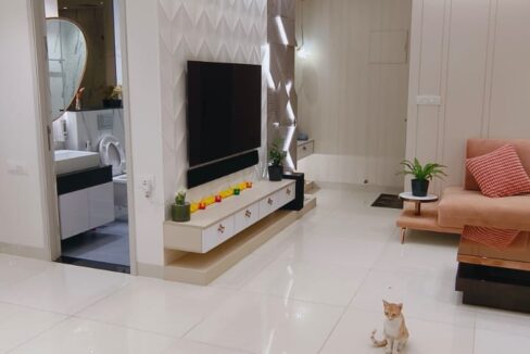 WhatsApp Image 2025-05-14 at 4.02.58 PM (1)