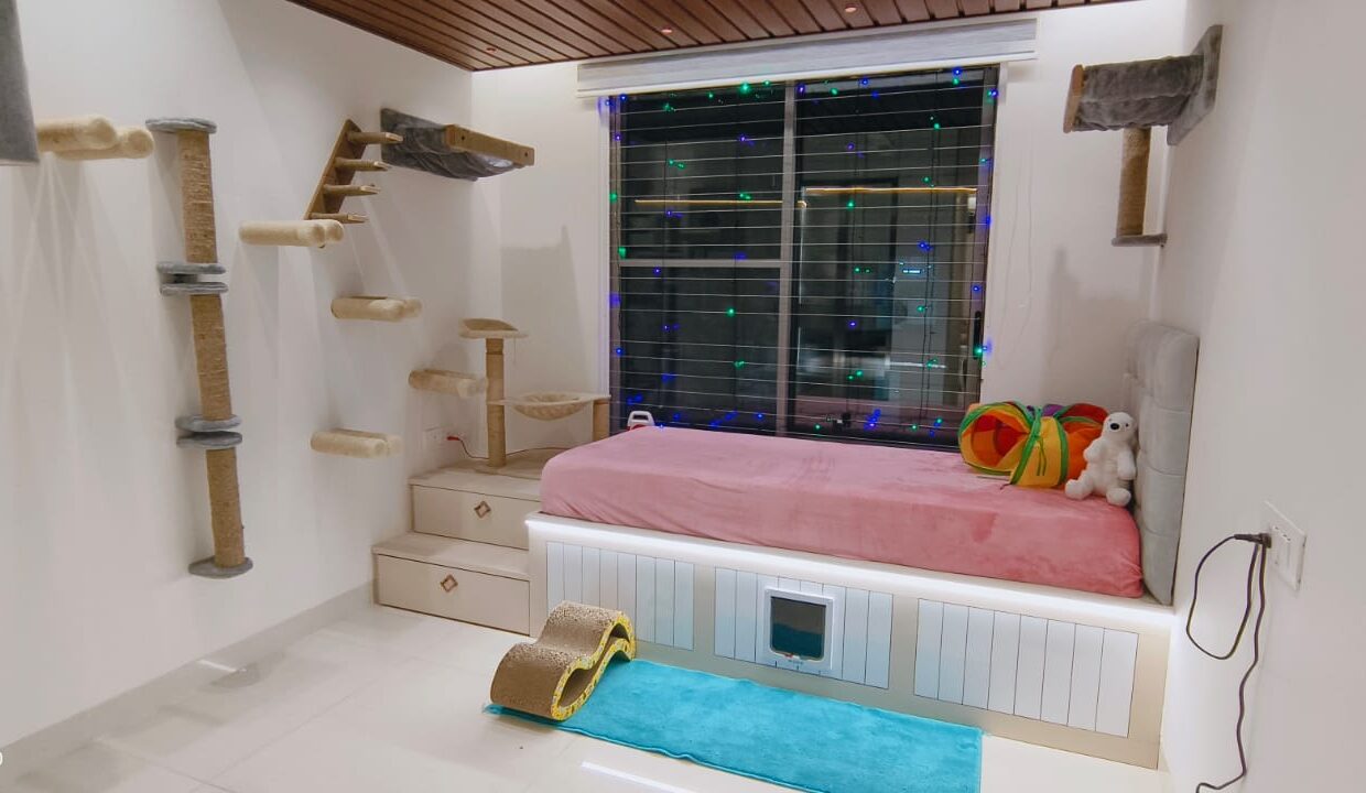 WhatsApp Image 2025-05-14 at 4.03.00 PM