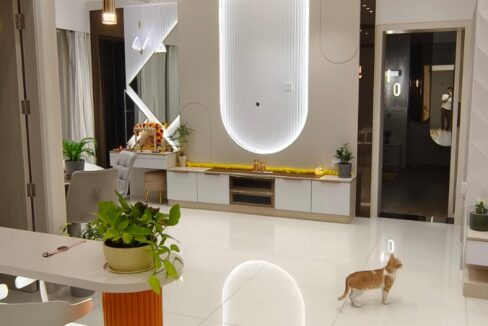 WhatsApp Image 2025-05-14 at 4.03.04 PM