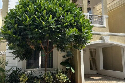 WhatsApp Image 2025-05-15 at 9.50.53 AM (2)