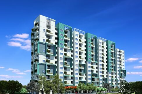 WhatsApp Image 2025-05-16 at 12.39.52 PM