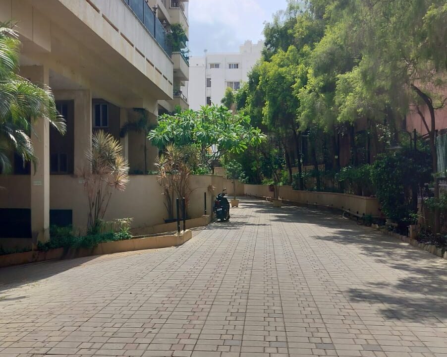 WhatsApp Image 2025-05-16 at 5.39.18 PM (1)